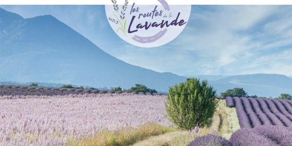 Les Routes de la Lavande